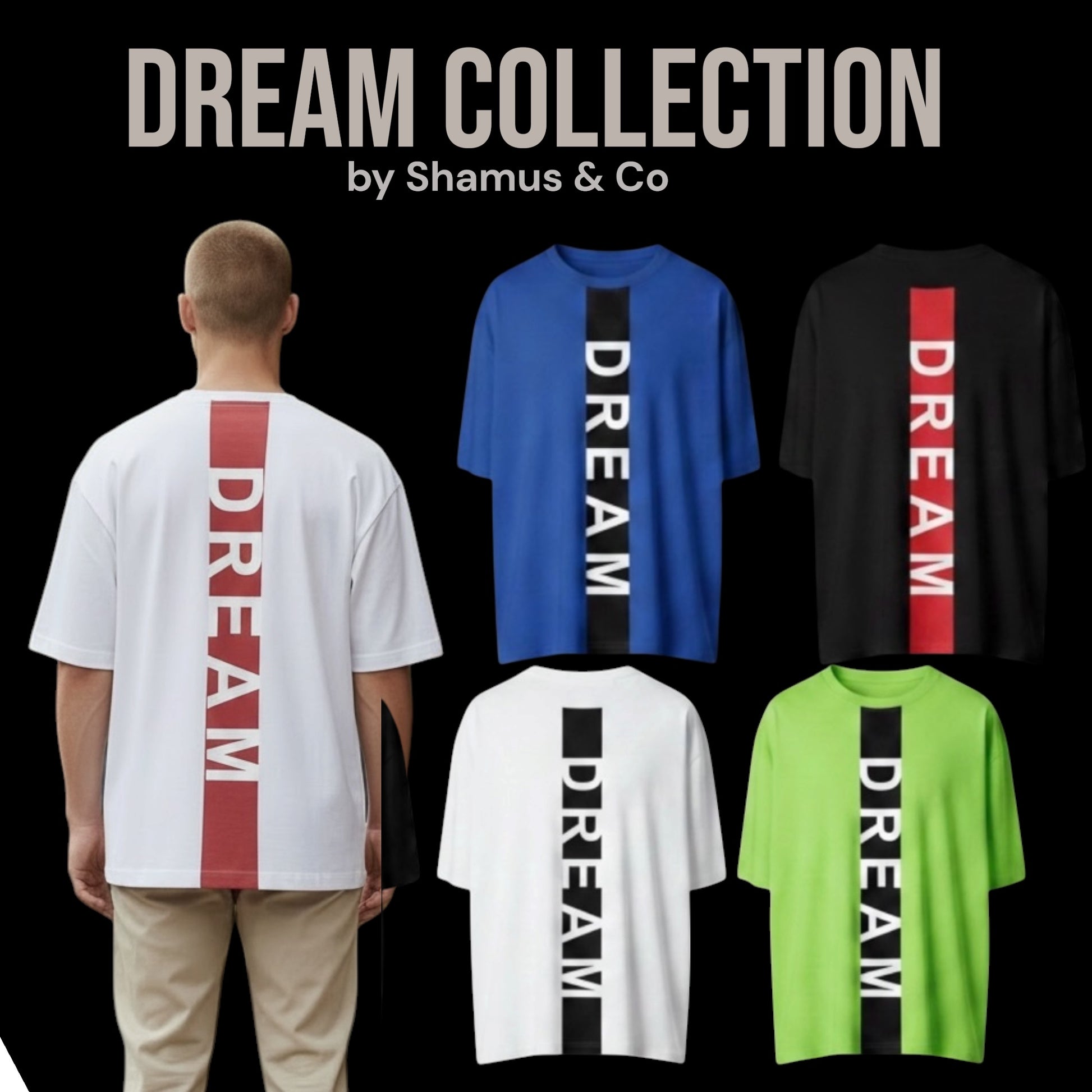 Adult Shamus & Co graphic print short sleeve crewneck T-shirt with colorful design, casual fit, and soft cotton fabric.