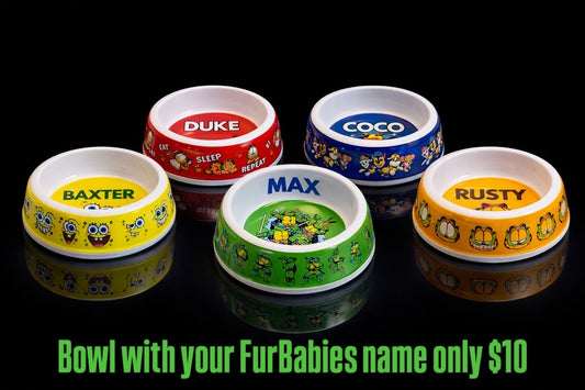 Personalized Dog Bowl with Name | Custom Pet Food & Water Bowl