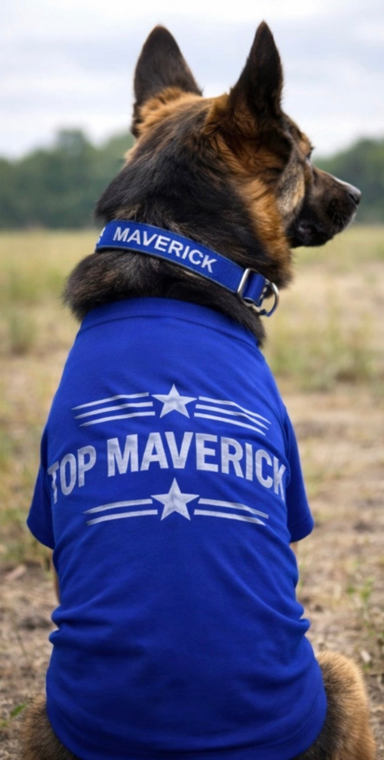 Custom Air Force inspired dog collar and matching shirt set by Shamus & Co featuring navy and white design with military-inspired details.