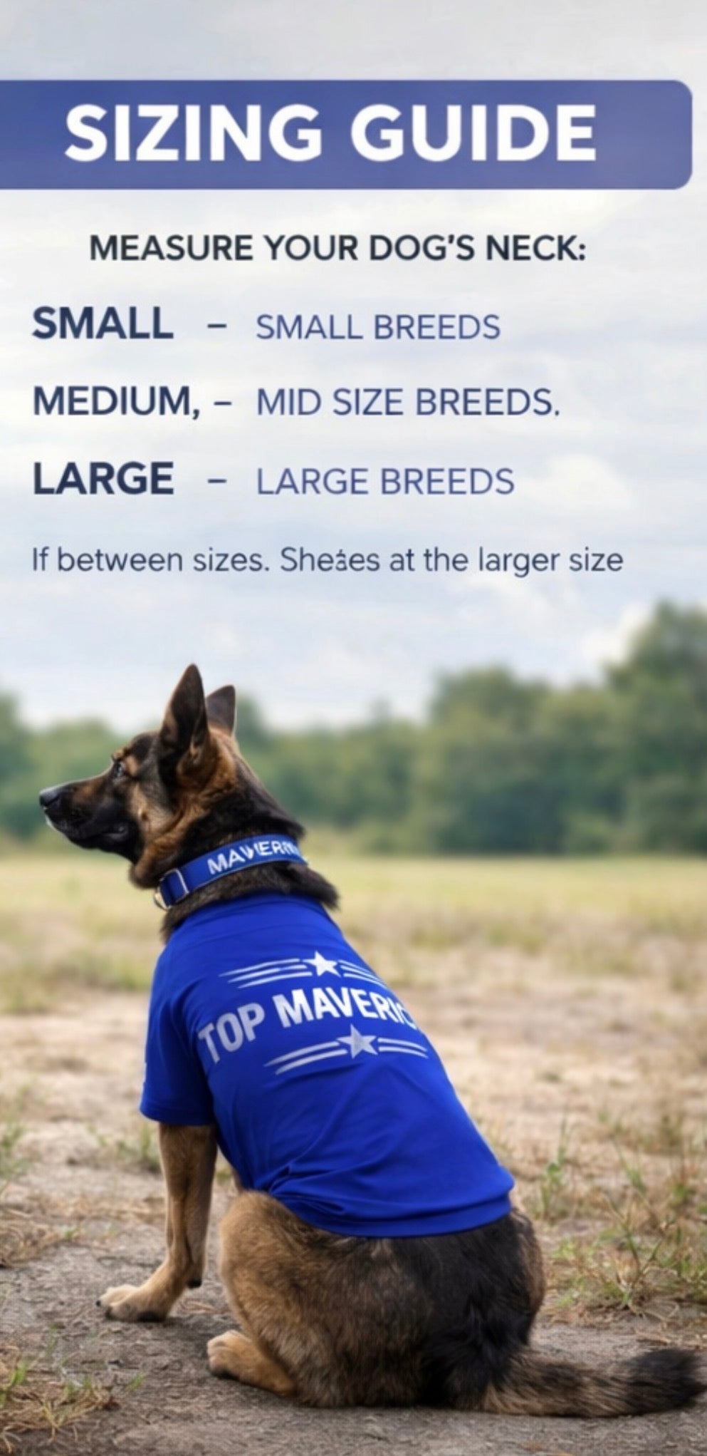 Custom Air Force inspired dog collar and matching shirt set by Shamus & Co, featuring blue and white design with dog accessories.