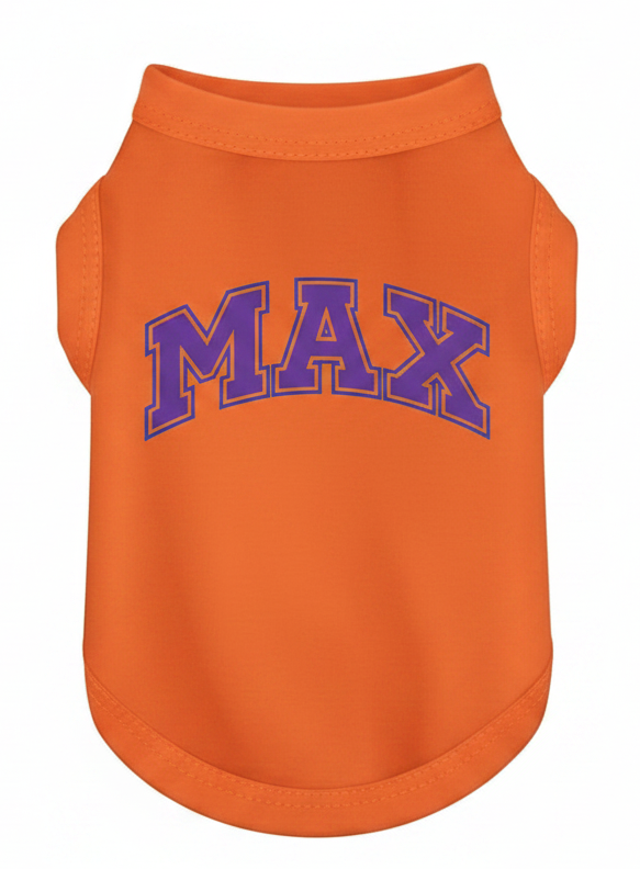 Orange personalized dog shirt with pet's name from Shamus & Co, featuring a comfortable custom pet tee for dogs.