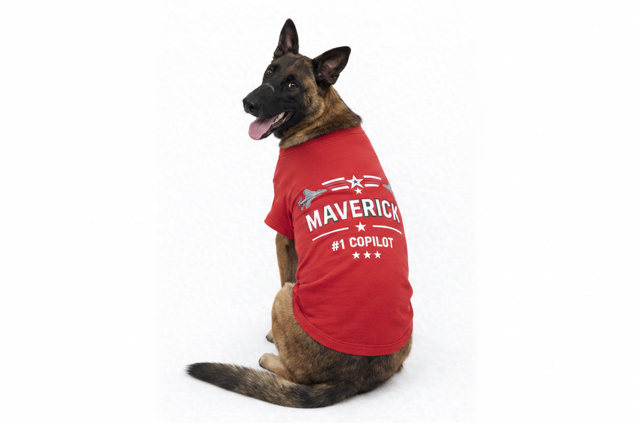 Air Force Inspired Custom Dog Collar & Matching Tee Set - Shamus & Co 