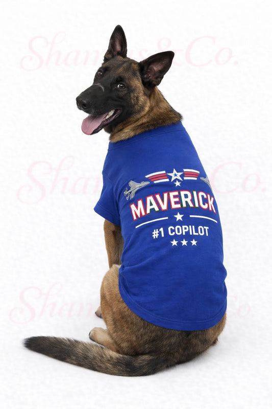 Air Force Inspired Custom Dog Collar & Matching Tee Set - Shamus & Co 