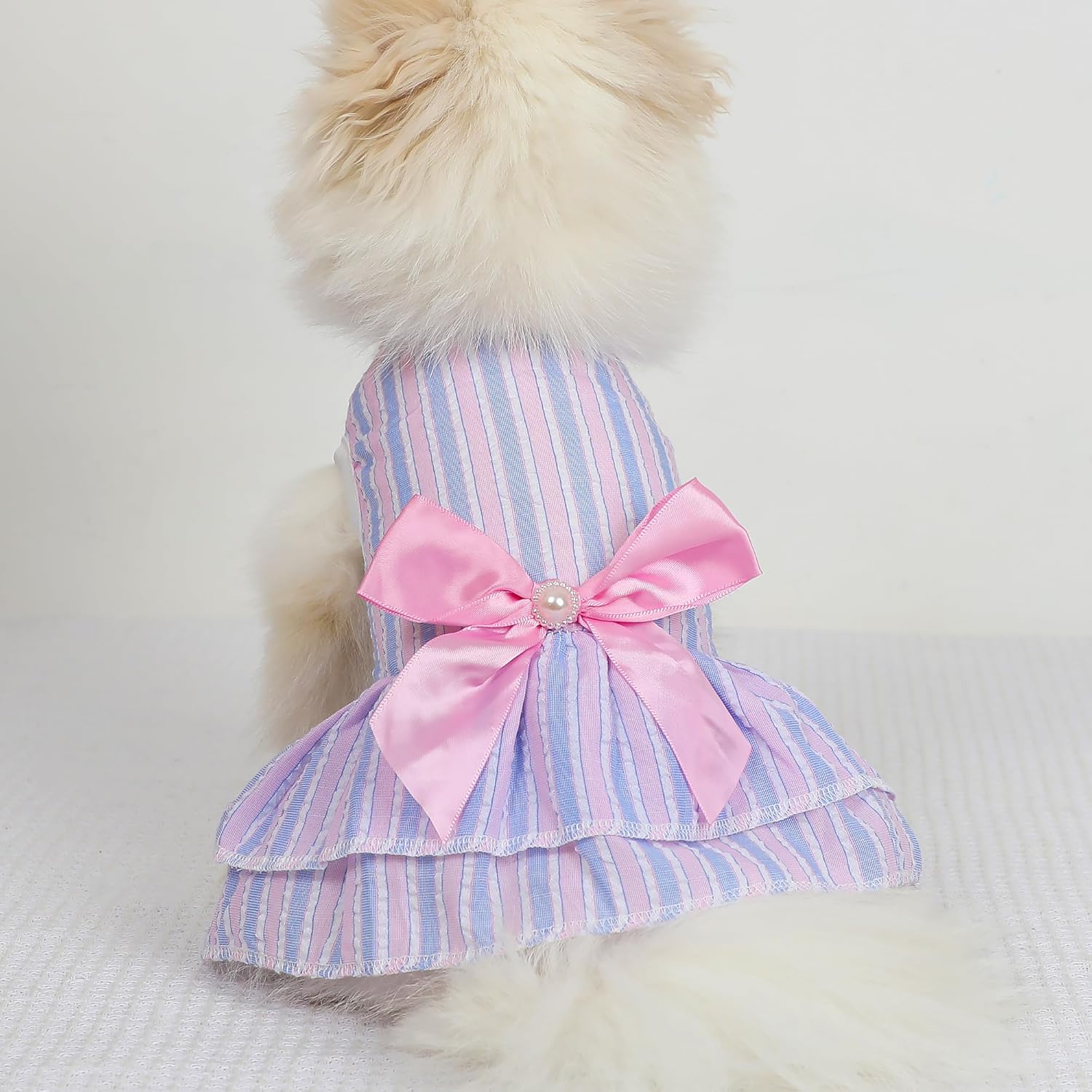 Dog dress with pink bow on a fluffy white background